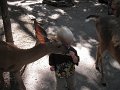August2009 263